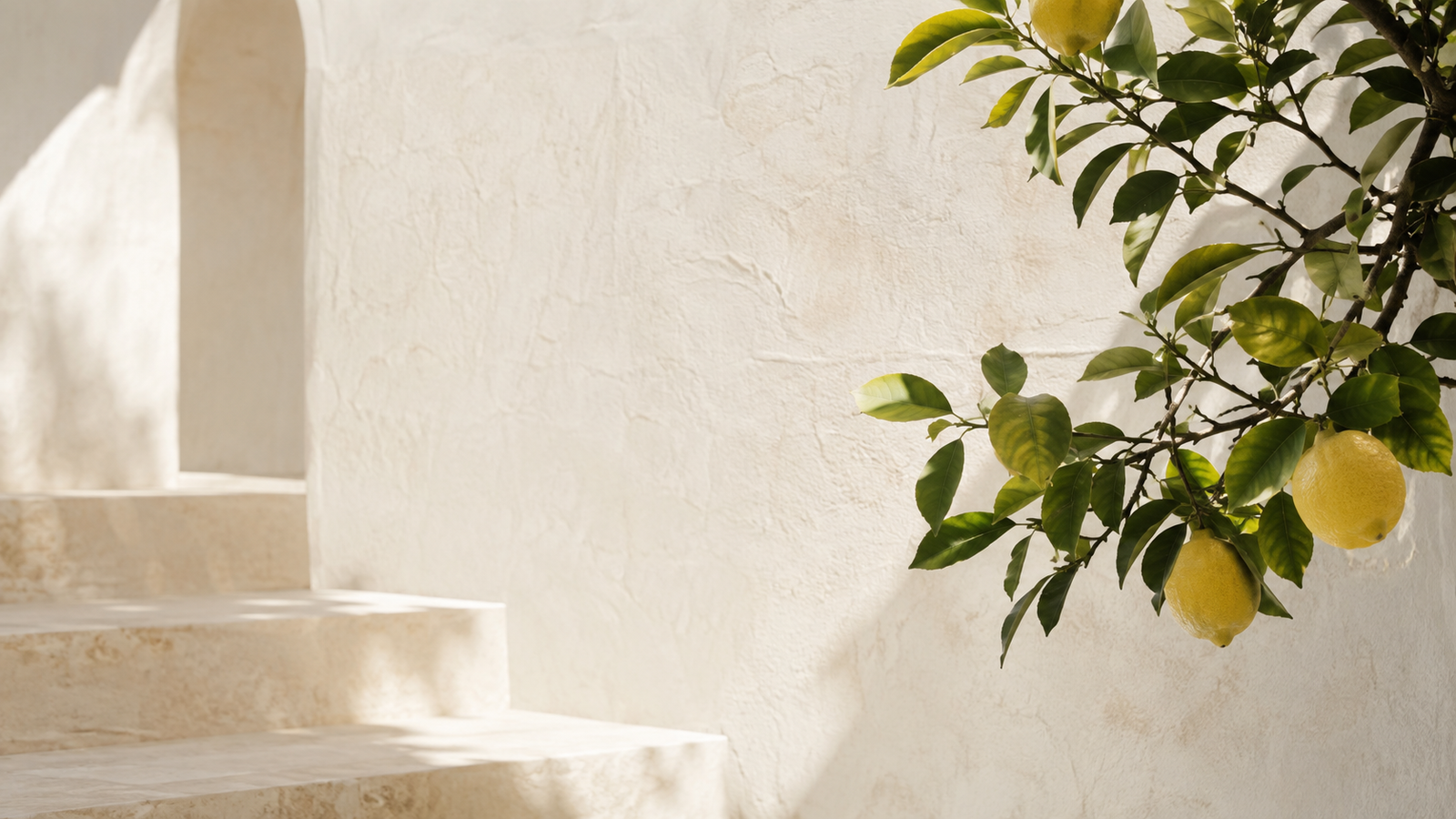 Sunlit Mediterranean wall framed by citrus leaves